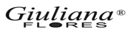 aplicativo personalizado giulianaflores